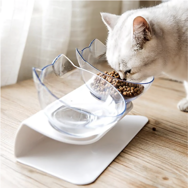 Orthopaedic & Anti-Vomiting Cat Bowl