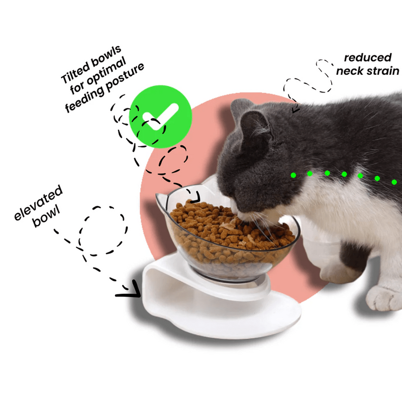 Orthopaedic & Anti-Vomiting Cat Bowl