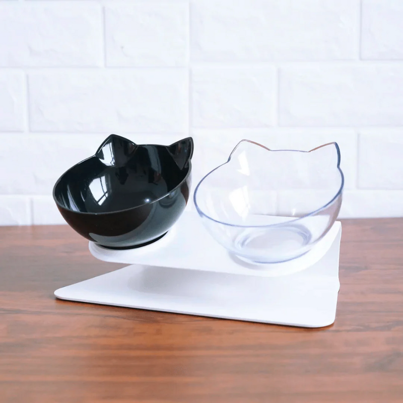 Orthopaedic & Anti-Vomiting Cat Bowl